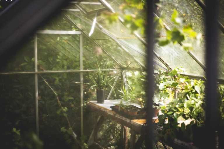 Comment Faire Un Potager En Montagne Promesse De Fleurs