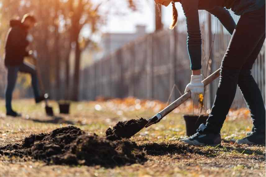 jardinage en automne hiver