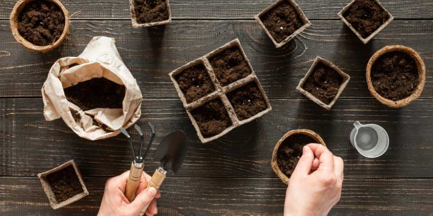 Semer les graines potagères en pots ou godets