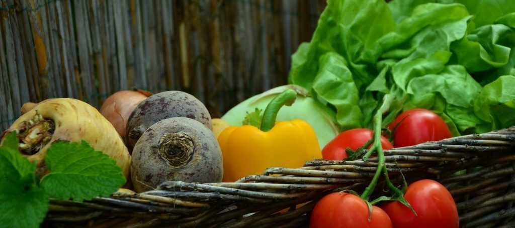 6 astuces pour bien conserver les légumes - Magazine Avantages