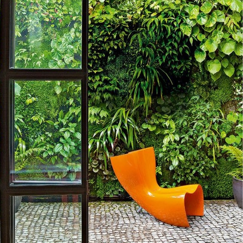 Mur végétal intérieur : 5 astuces pour un beau jardin vertical