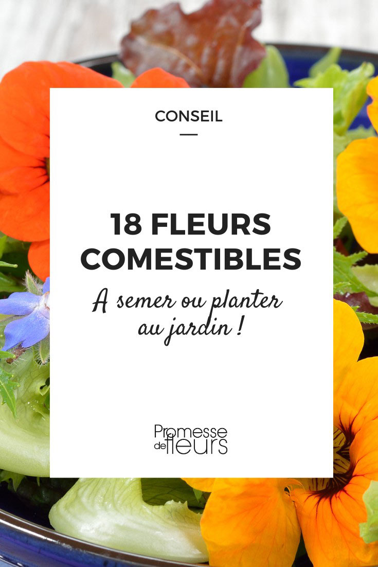 Les Fleurs comestibles - mon-marché.fr