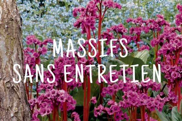 Constituer des massifs sans entretien