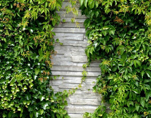4 exemples de murs végétaux à tomber par terre