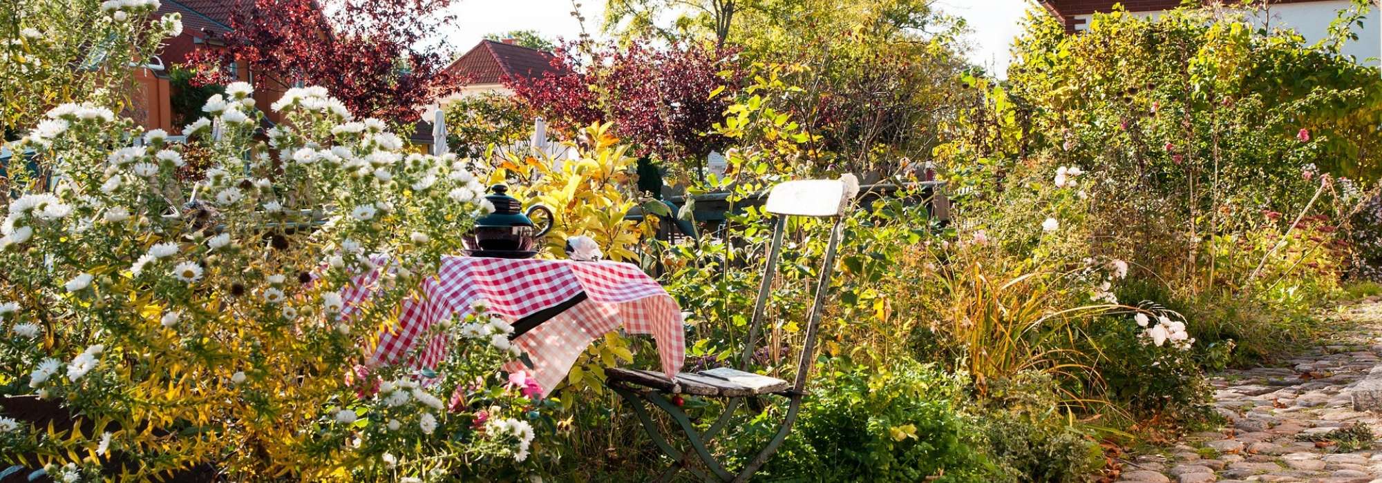 Petit jardin : nos astuces et conseils pour un petit jardin malin - Elle  Décoration