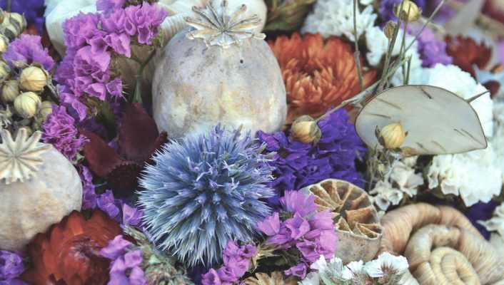 Fleurs séchées : lesquelles choisir, comment les faire sécher et entretenir vos bouquets