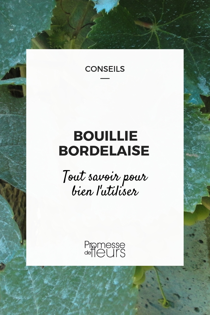 Bouillie bordelaise : utilisation au jardin et au potager