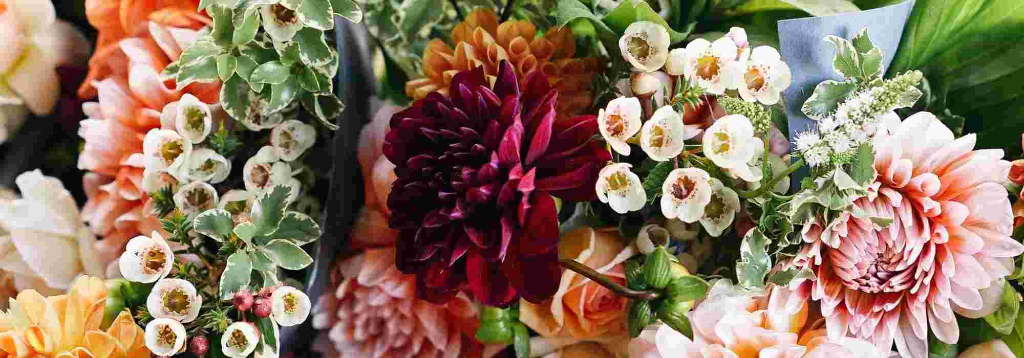 Vase et Pot Horticole de Terre Cuite en Fleurs : Décoration de Mariage !