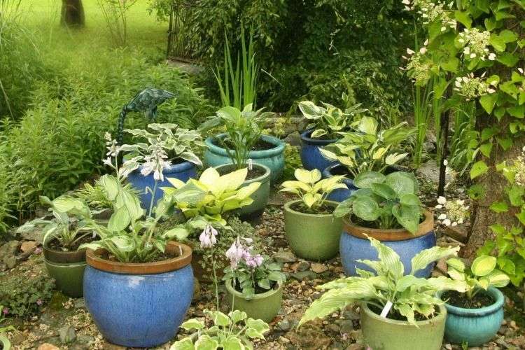 Jardinières et pots avec système d'auto-irrigation - Bloomling France