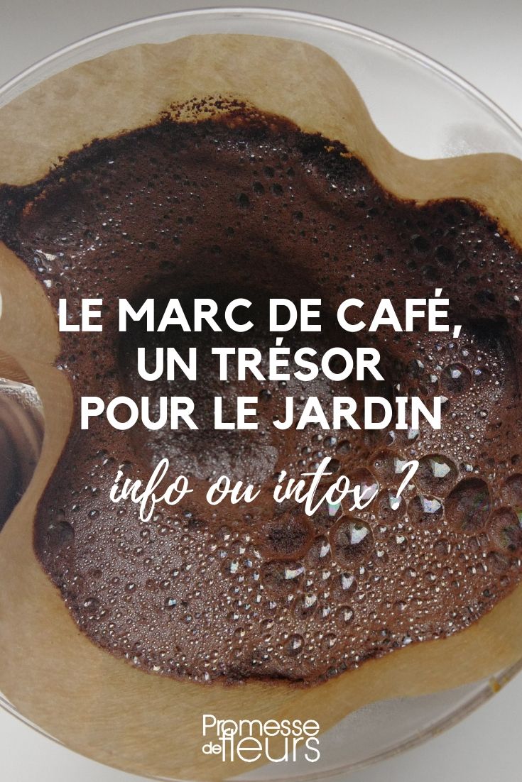 Bac Marc de Café Bac marc à cafe pot pour récupérer le marc de café bote