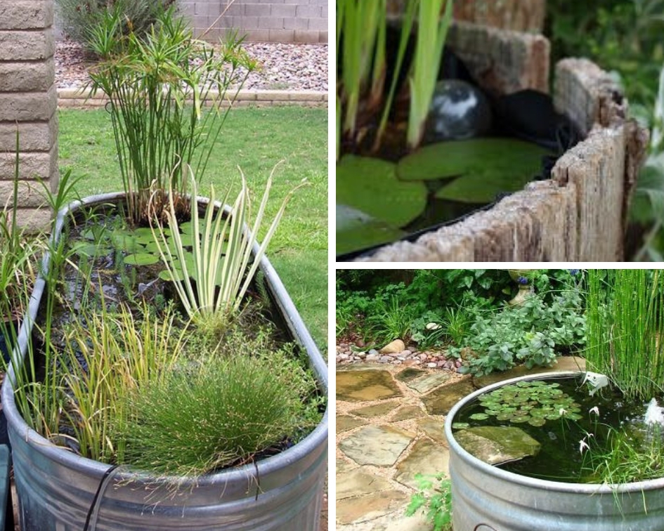 Mini bassin : petit jardin d'eau pour terrasse ou balcon - Idées
