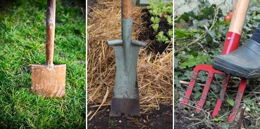 Découvrir les meilleurs outils de jardin Hollandais