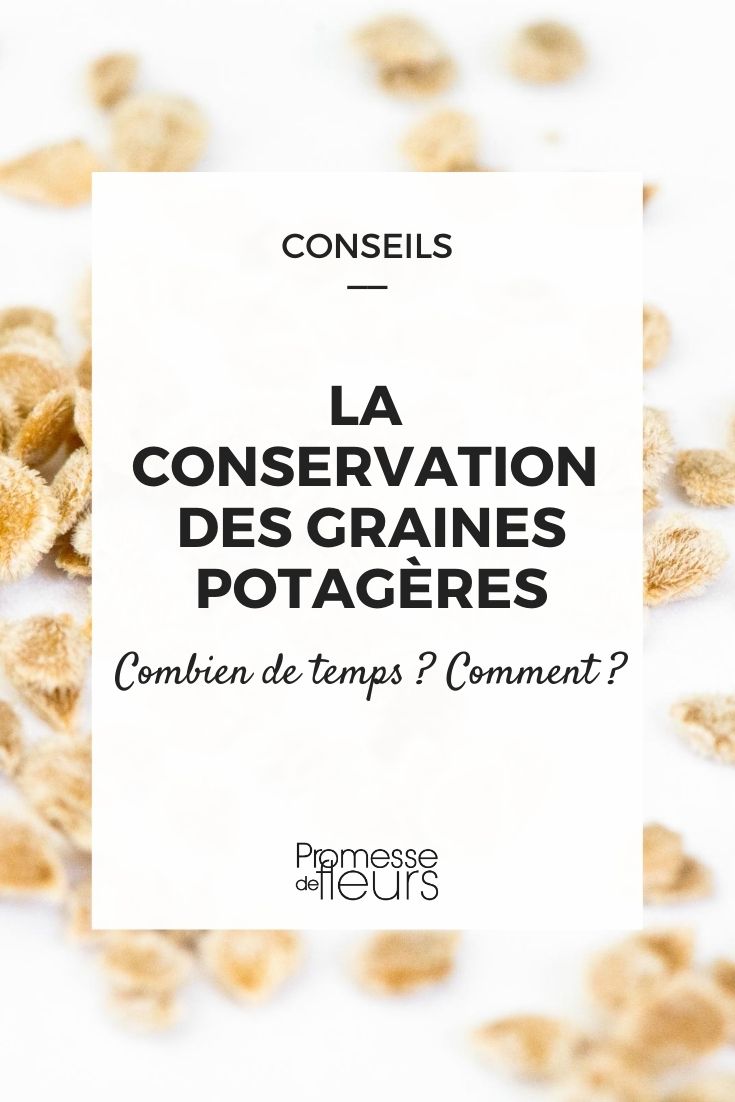 La conservation des graines