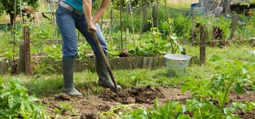 choisir une bêche, fourche-bêche ou louchet selon l'usage