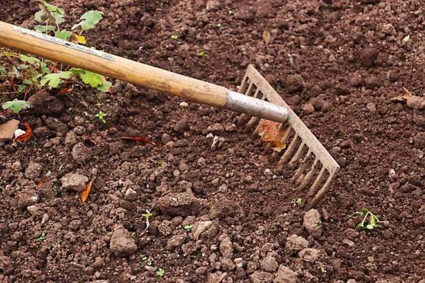 Les principaux outils de jardinage et leurs fonctions - Promesse