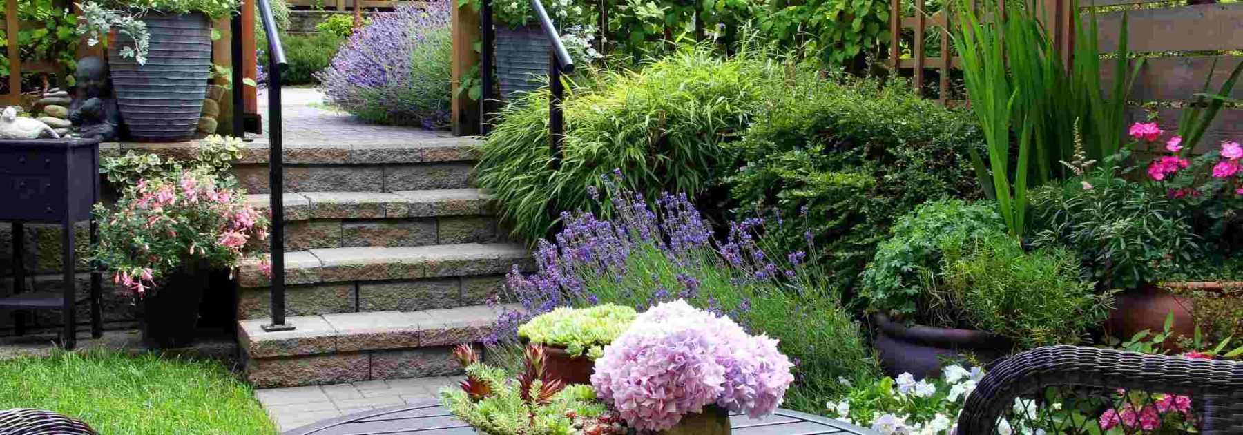 Jardin d'intérieur — Tutos et conseils pour créer un mini jardin d