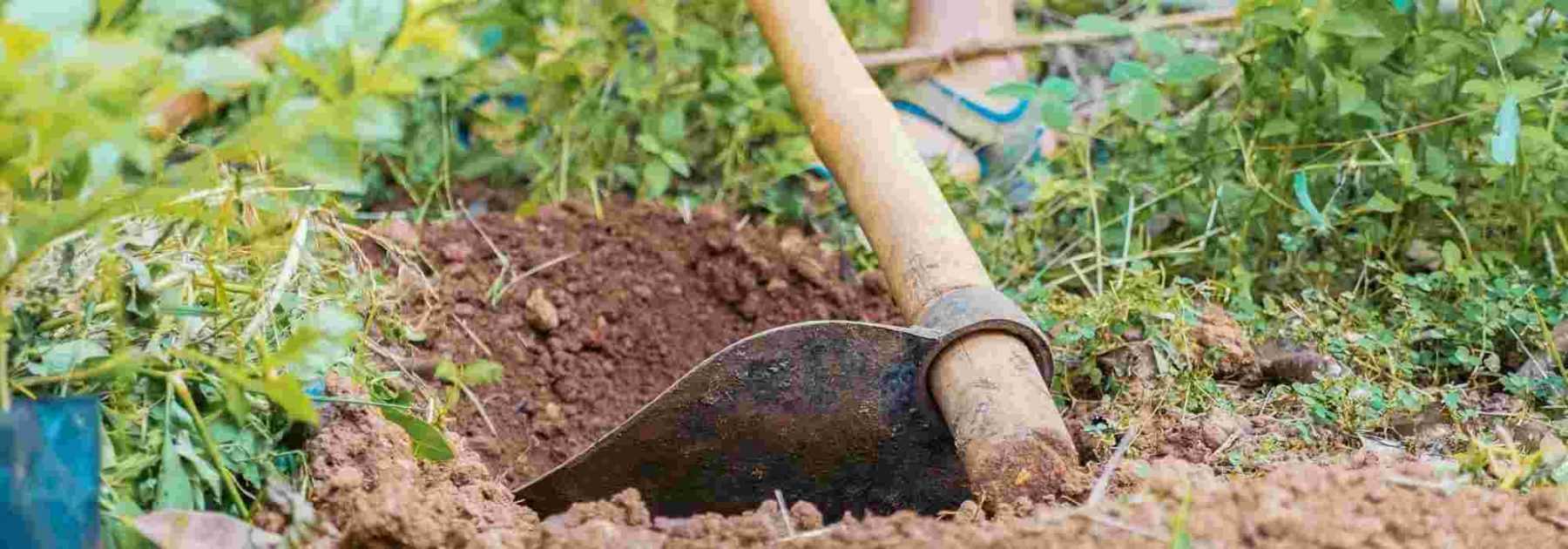 Les bons outils de jardin pour un jardinage efficace 