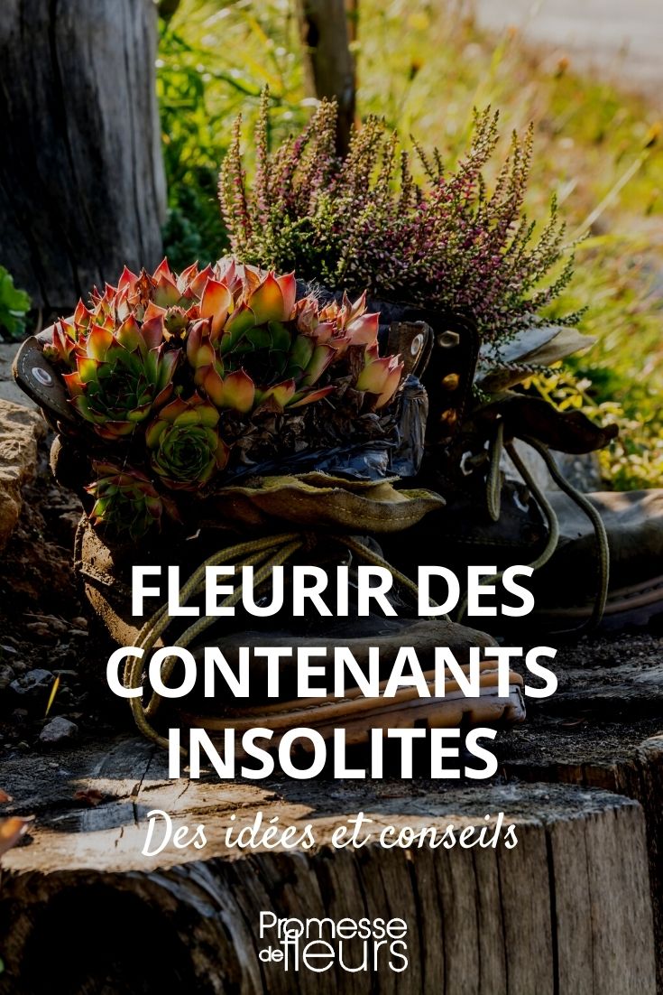 Idée déco : des plantes dans des contenants insolites - Promesse de Fleurs