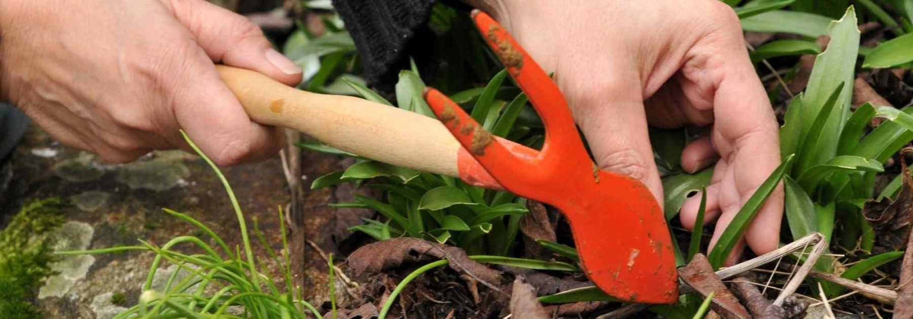 AVR outils de jardinage à main set de 4