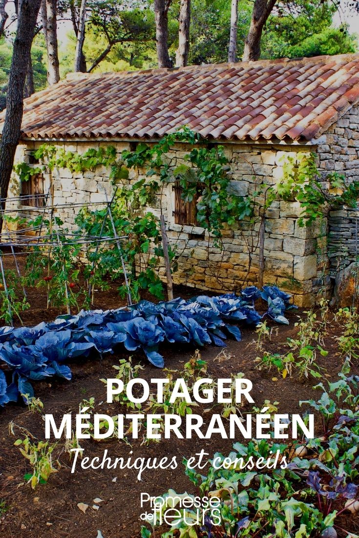 Tuyau d'arrosage poreux pour micro irrigation (50 m) - Provence