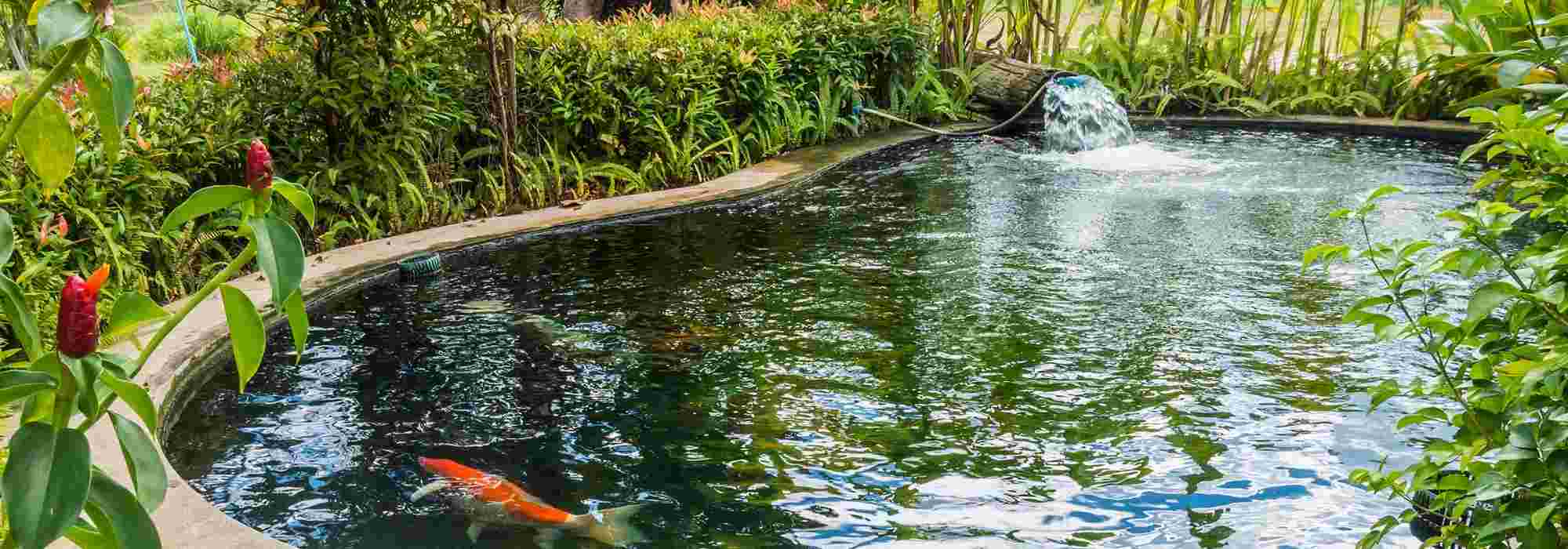 Comment réparer un bassin préformé? > Aquiflor - Jardinerie Aquatique