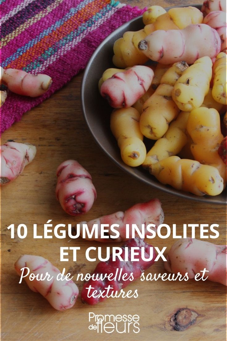 10 légumes insolites et curieux - Promesse de Fleurs