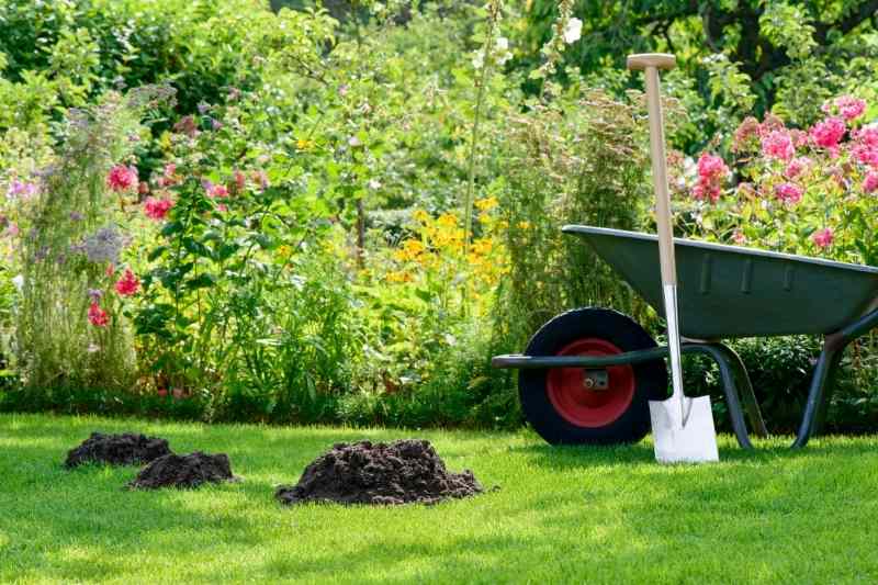 Grand tamis de jardin en cèdre pour compost, terre et terreau