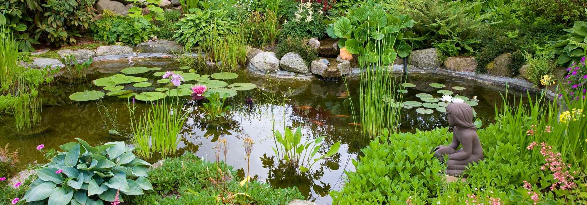  un bassin d'eau dans votre jardin ; bassins naturels