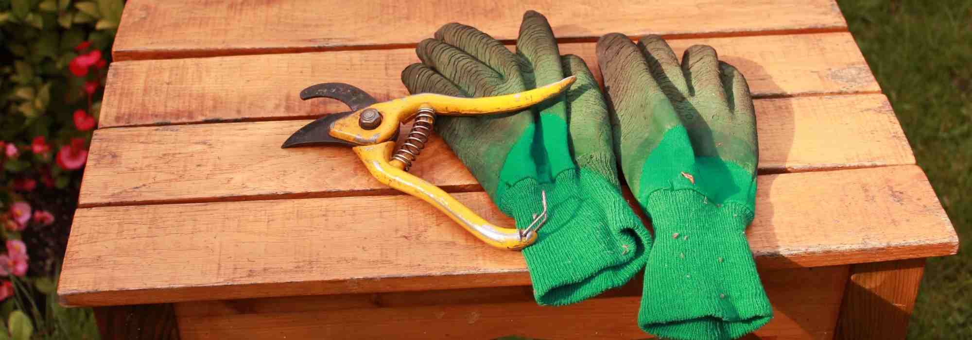 Amoureux du jardin, protégez vos mains grâce à nos gants de