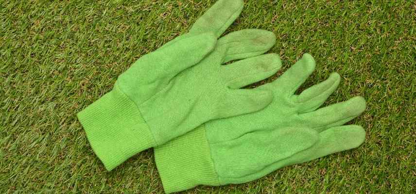 Acheter Gants de jardinage protecteurs gants de protection