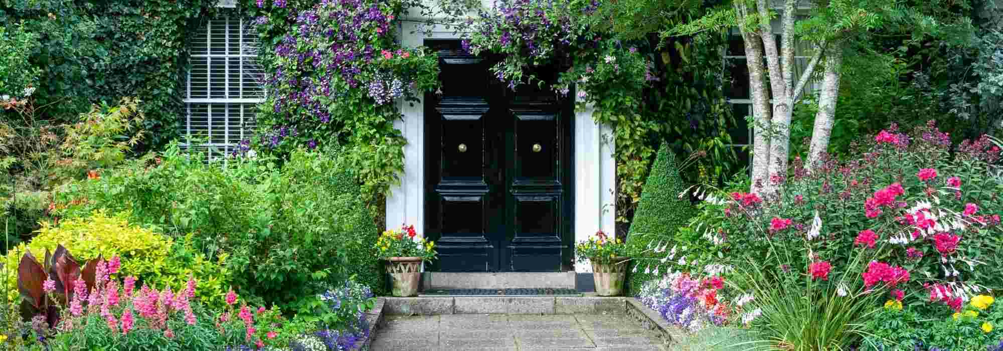 5 Conseils pour rentrer les plantes d'extérieur dans la maison pour l'hiver