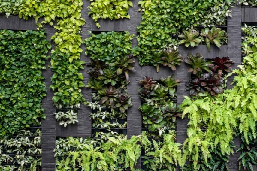 Tout savoir sur le mur végétal extérieur - La Fabrique du Mur Vegetal