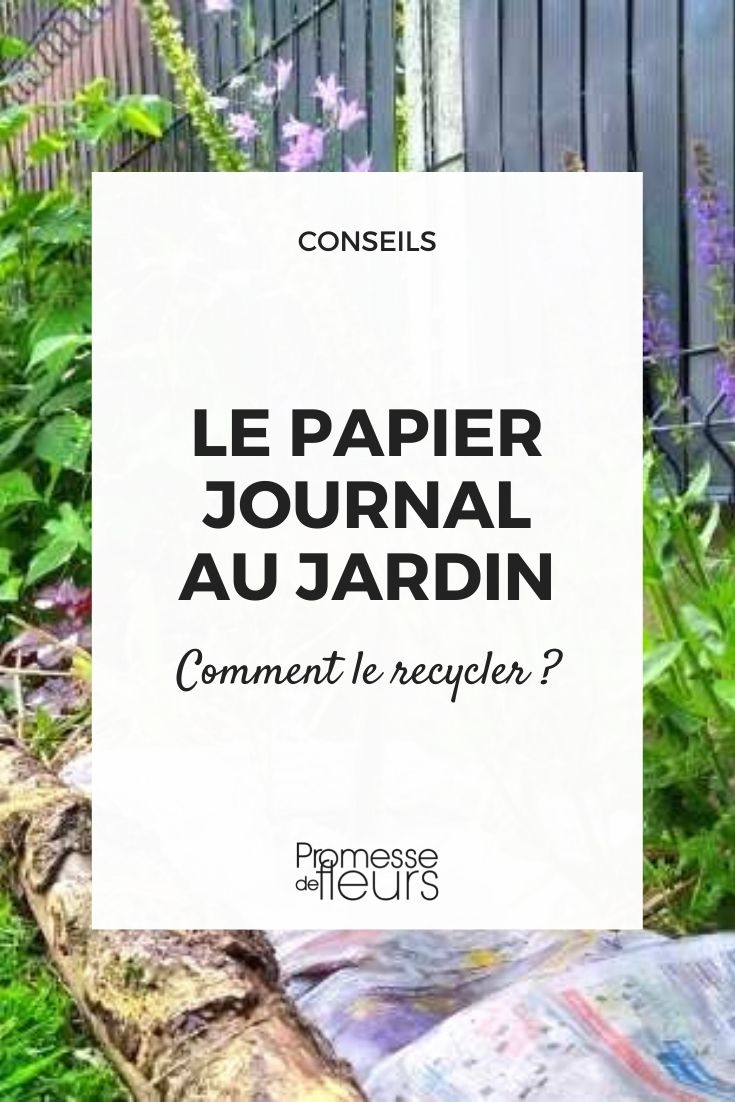 https://www.promessedefleurs.com/blogwp/wp-content/uploads/2021/07/papier-journal-jardin-1.jpg