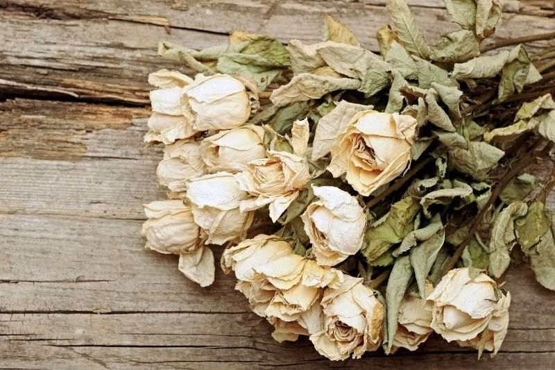 Pot-pourri parfumé de Fleurs séchées Rose