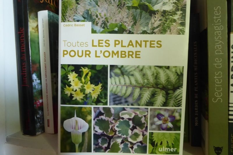 Pinces à Plantes en Bois - Botanique éditions