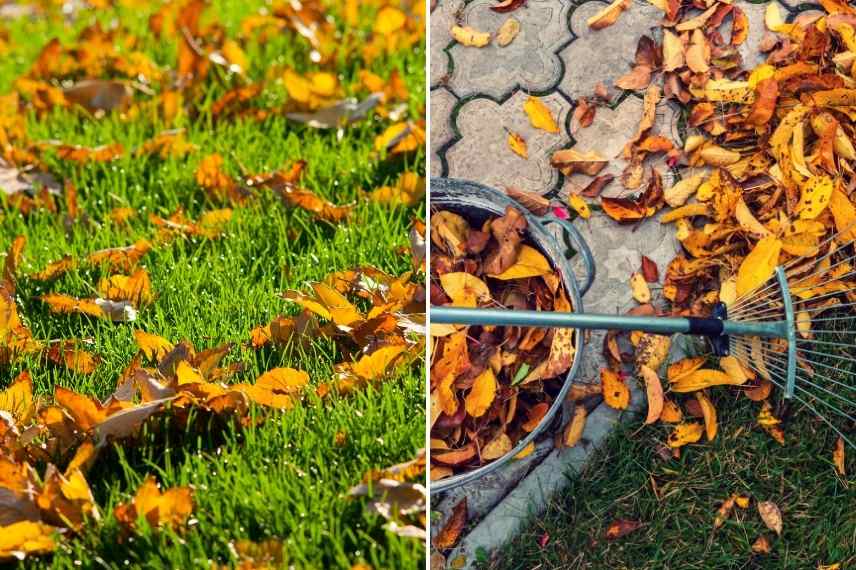 Faut-il ramasser les feuilles mortes en automne ? - Direct-Filet.com le blog