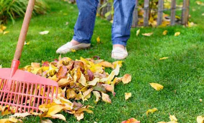 Utiliser Les Feuilles Mortes 3 Façons De Les Recycler Au Jardin 