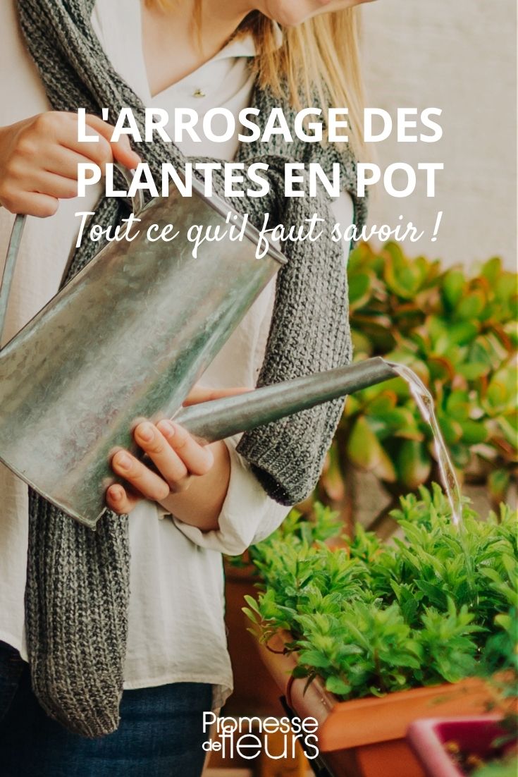 Arroser ses plantes pendant les vacances - La Fourche