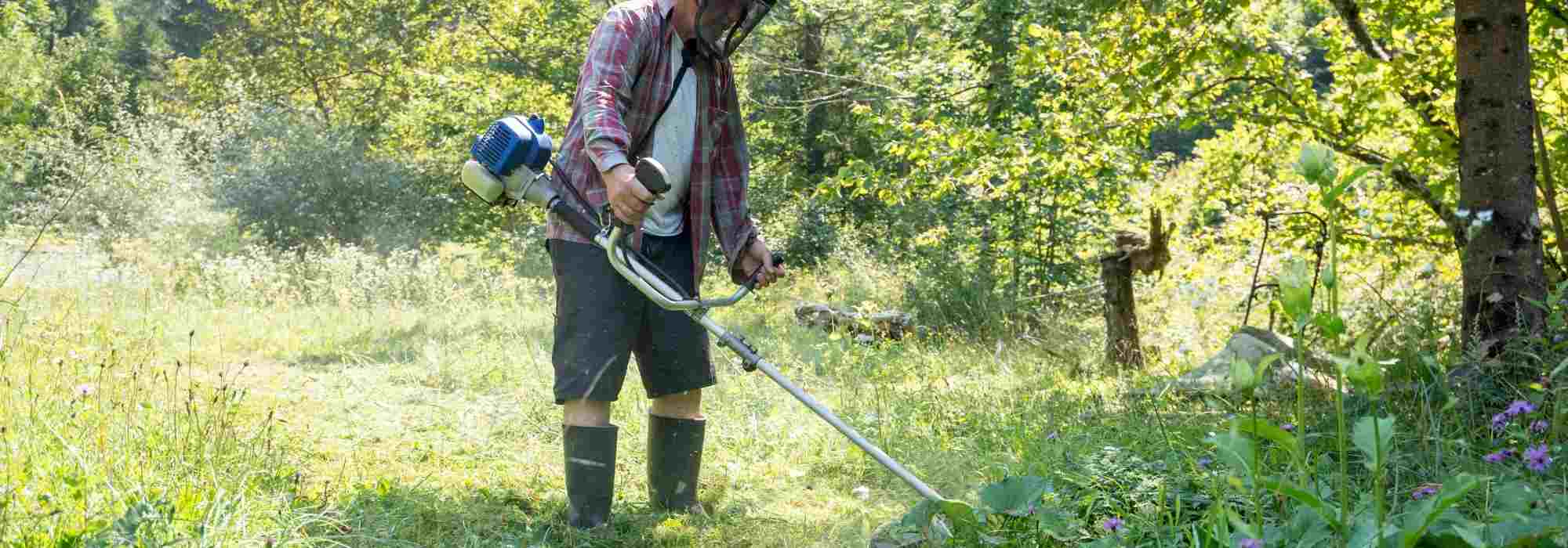 Outils indispensables en permaculture : les machettes et les serpes