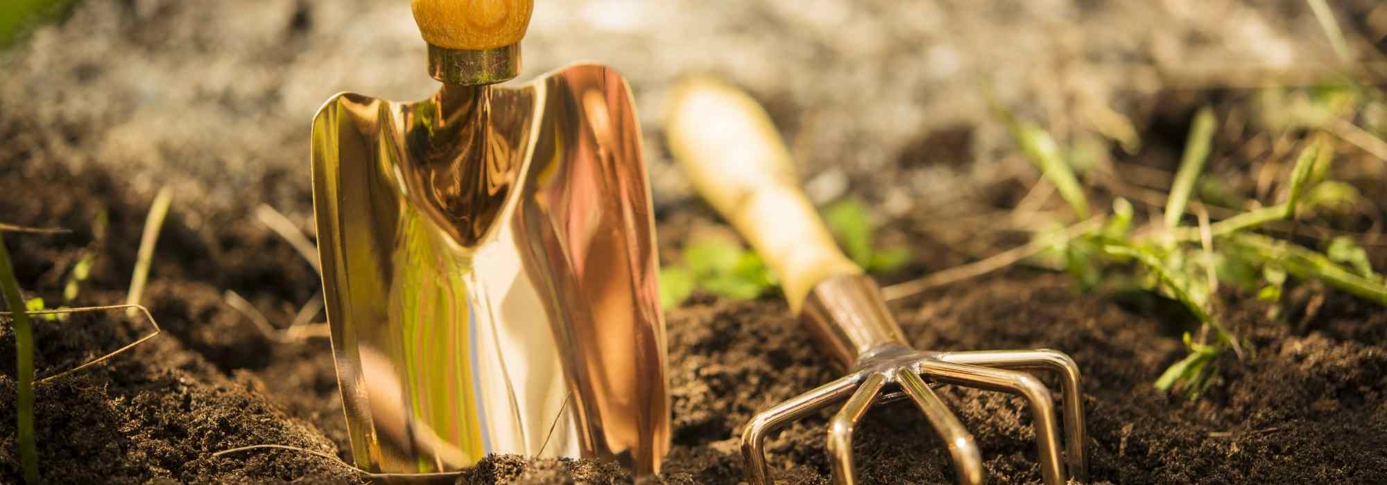 Jardinage : quels sont les 10 outils indispensables pour débuter ?