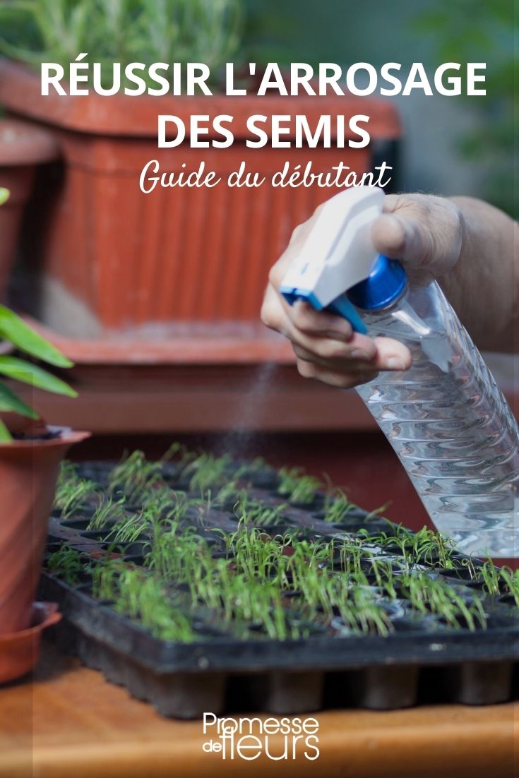 Comment faire ses semis en 7 étapes simples