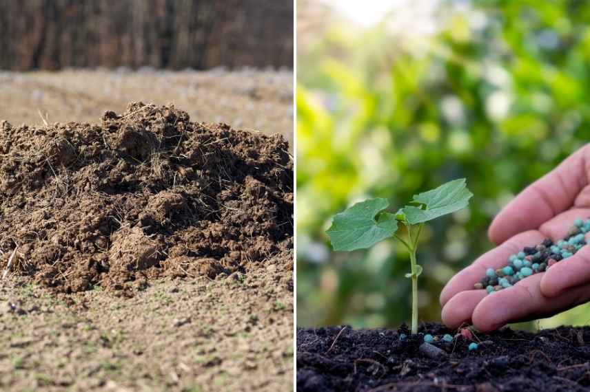Compost, terreau ou fumier… Lequel choisir ?