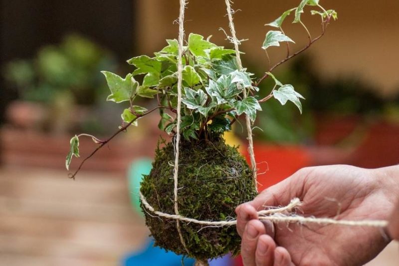 Comment faire un pot suspendu pour plante avec de la corde - Marie