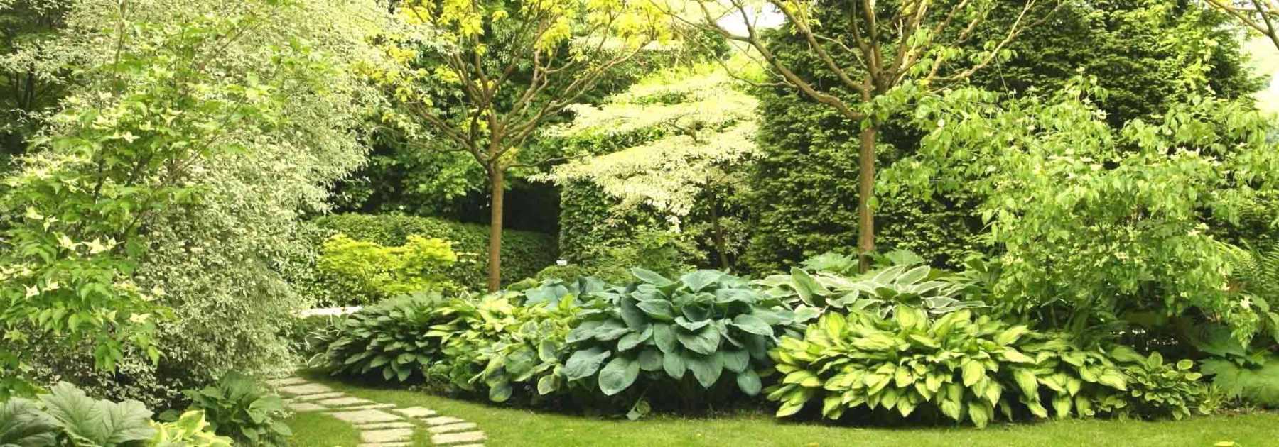 10 serres de jardin pour réussir ses cultures - Marie Claire