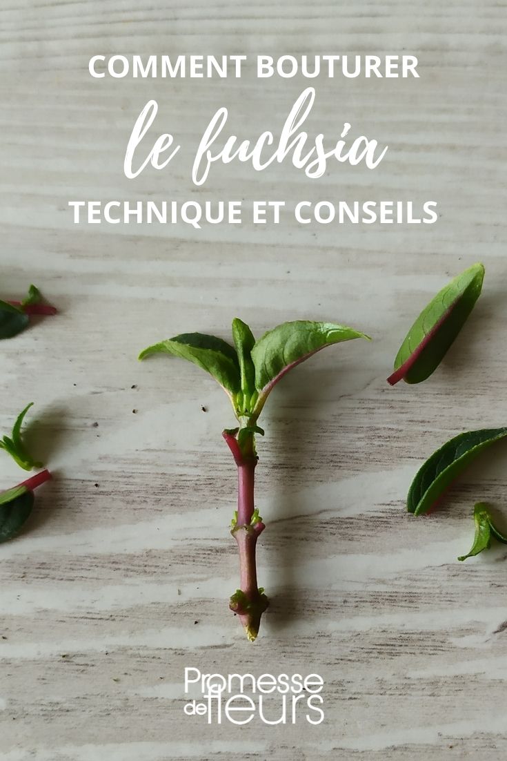 DIY - Tuto supports à boutures