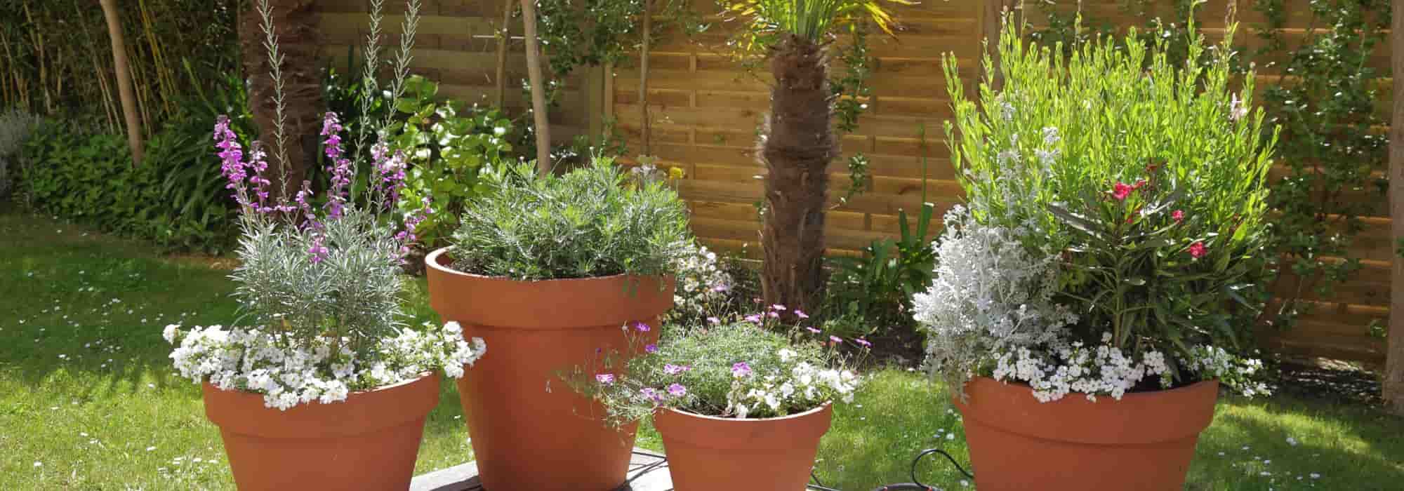 Comment disposer des pots sur une terrasse - Promesse de Fleurs