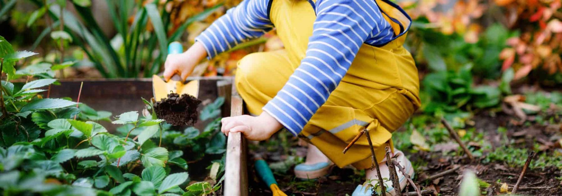 Jardiner au printemps : les conseils d'un jardinier expert