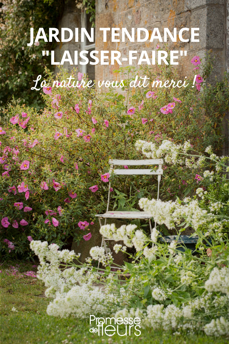Quelles fleurs et plantes pour aménager un petit jardin sauvage ? -  Magazine Avantages