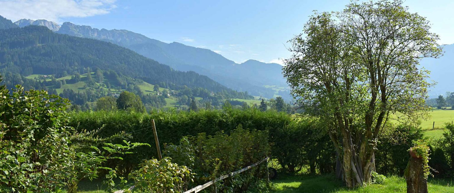 Jardin De Montagne Arbustes Persistants Promesse De Fleurs