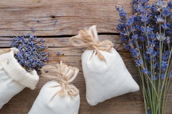 Comment utiliser les herbes aromatiques pour parfumer son linge ?